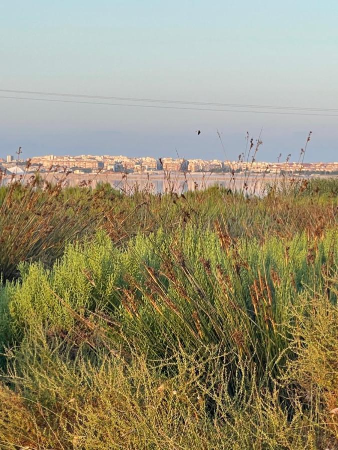 Apartamento Exclusivo Y Central Torrevieja Buitenkant foto